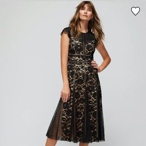 White House Black Market lace godet fit dress. Size 10
